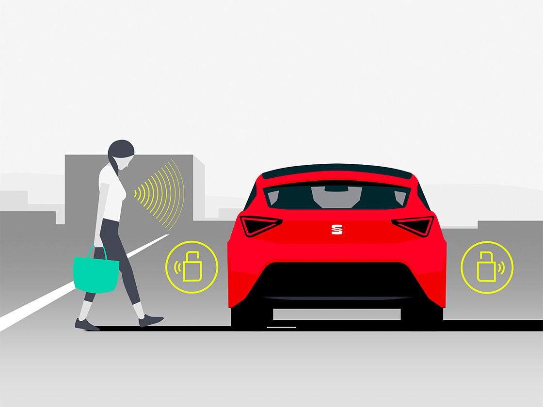 seat ibiza kessy system 